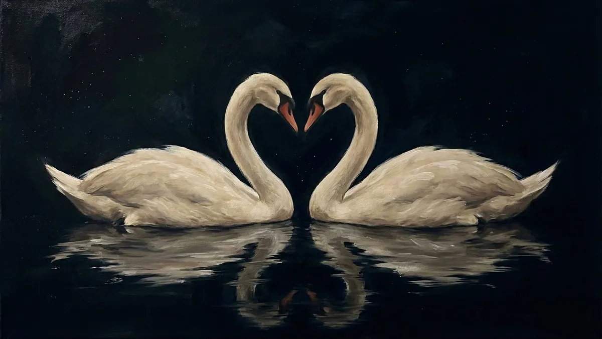 Two white swans face each other on dark water, their necks forming a heart, with rippled reflections below