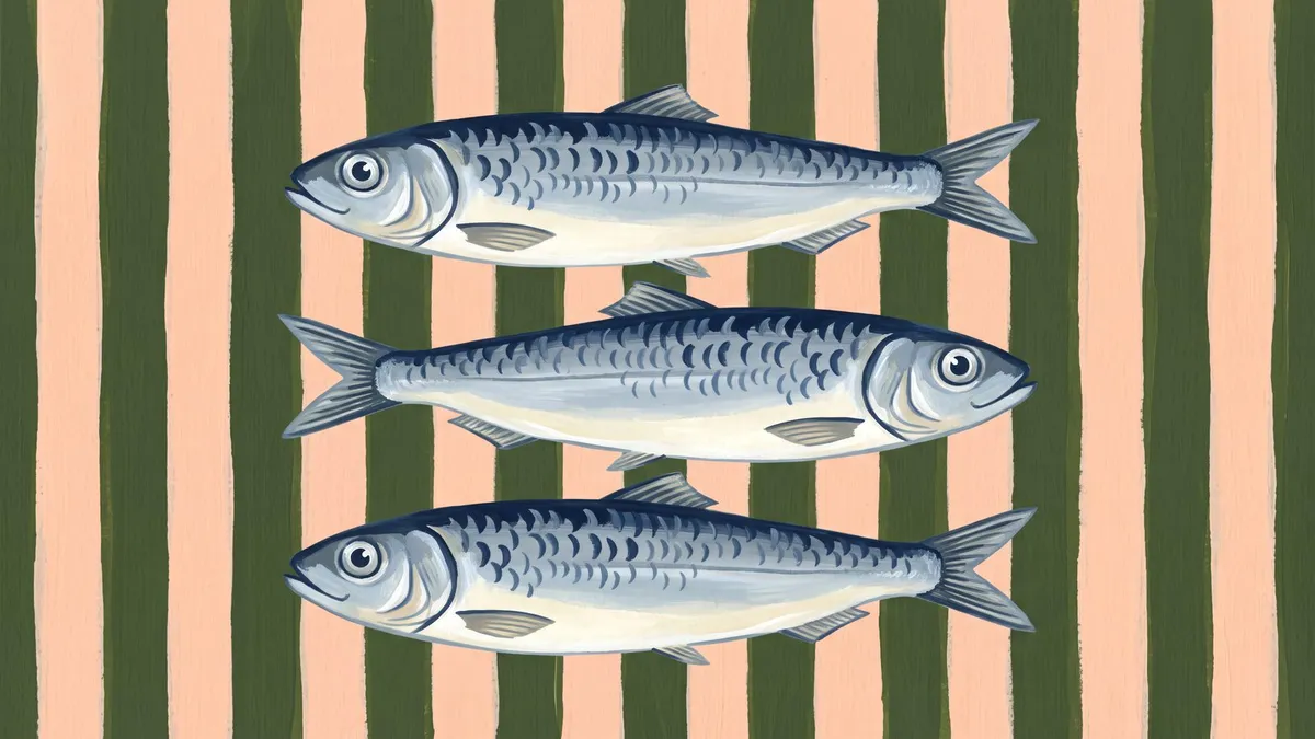 Striped Sardine Trio shown on your frame
