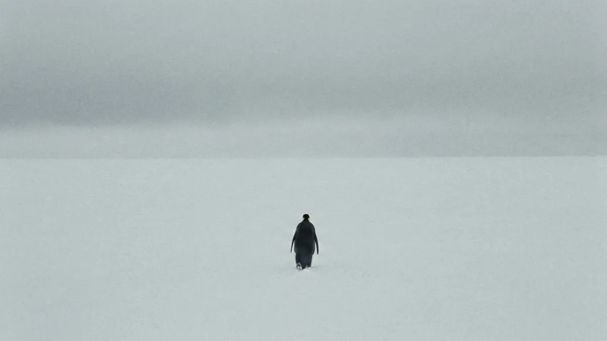 Minimalist Penguin Antarctic Landscape shown on your frame