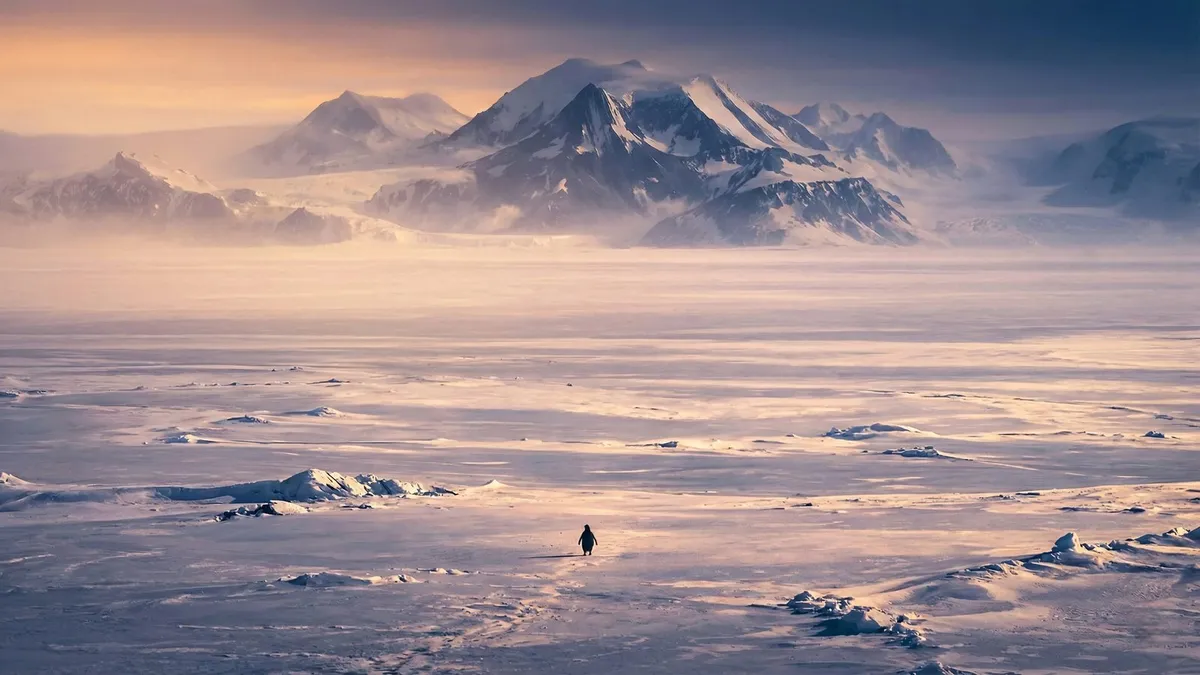 Nihilist Penguin Antarctic Sunset shown on your frame