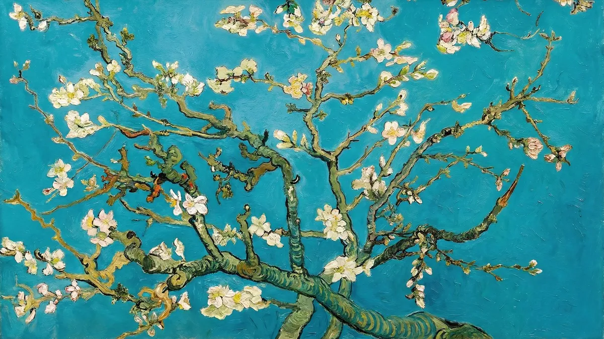 White and pink almond blossoms on gnarled branches against a bright turquoise sky