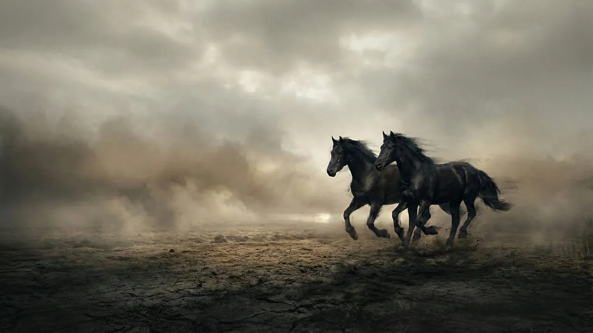 Moody Black Horses shown on your frame