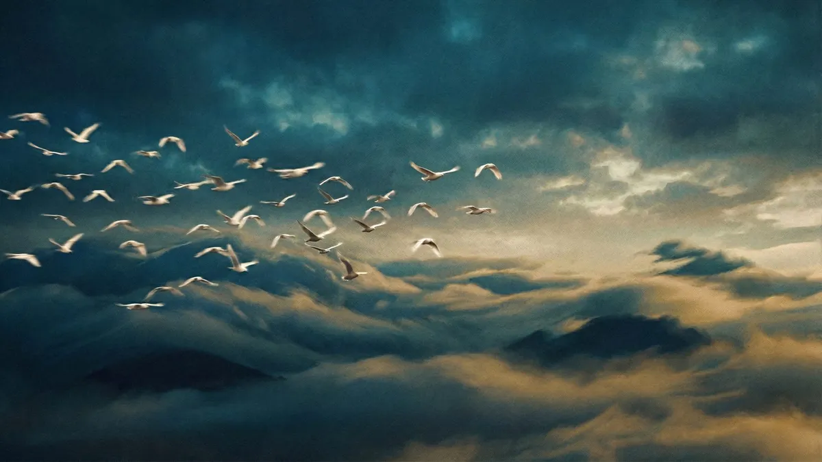 Birds Flying Moody Clouds shown on your frame