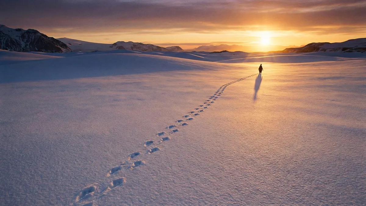Antarctic Penguin Sunset Landscape shown on your frame