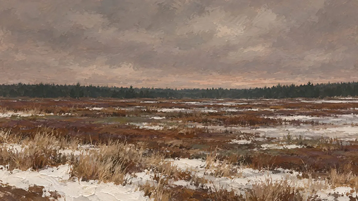 Snowy marsh field with dry grass, a dark distant treeline and a heavy gray-taupe overcast sky