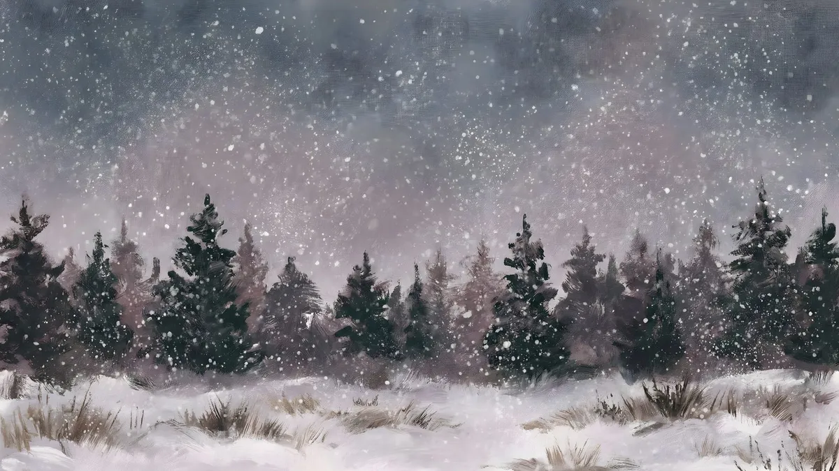 Winter Snowfall shown on your frame